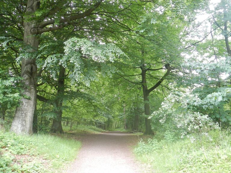 Activiteiten bij buitenplaats Kameryck — natuur in Woerden